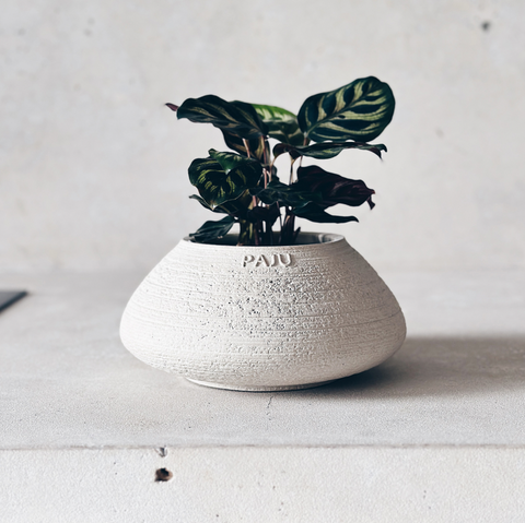 Buitenkaars Julia in Cream — Hervulbaar