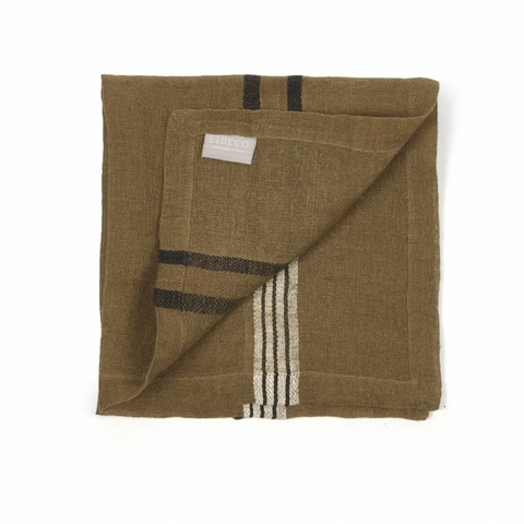 The locomotive stripe servet