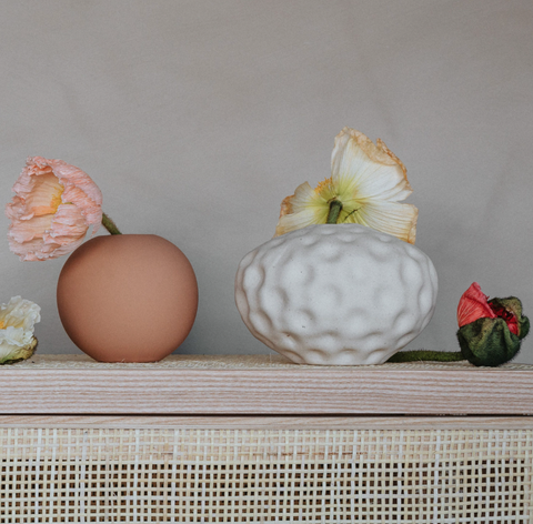 Seedpod Vanilla Small