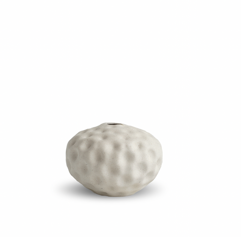 Seedpod Vanilla Small